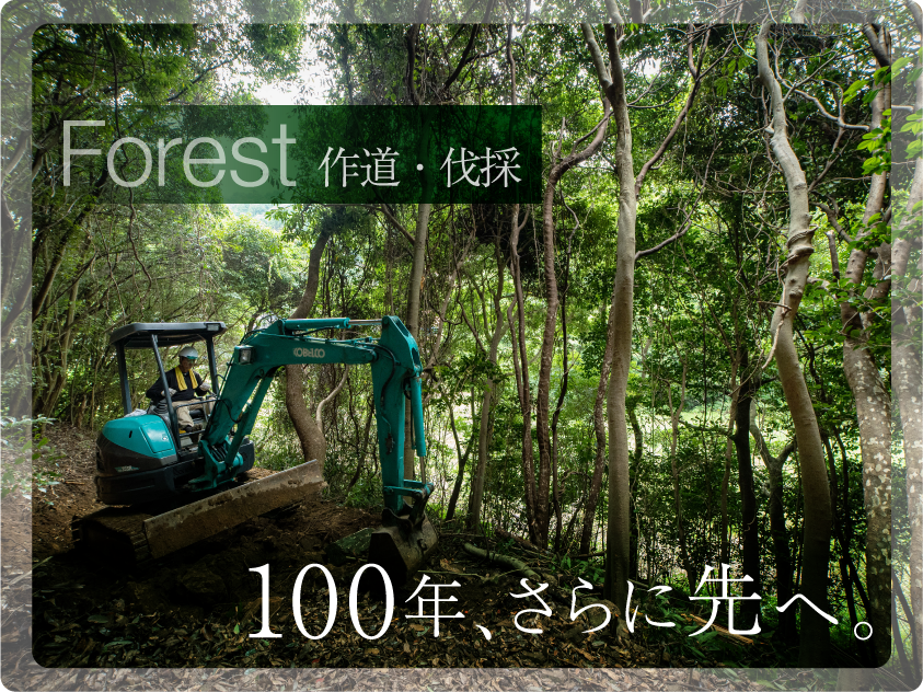 超希少 雄別炭礦株式会社 千株券 超希少 雄別炭礦株式会社 千株券 Yahoo!オークション -「雄別